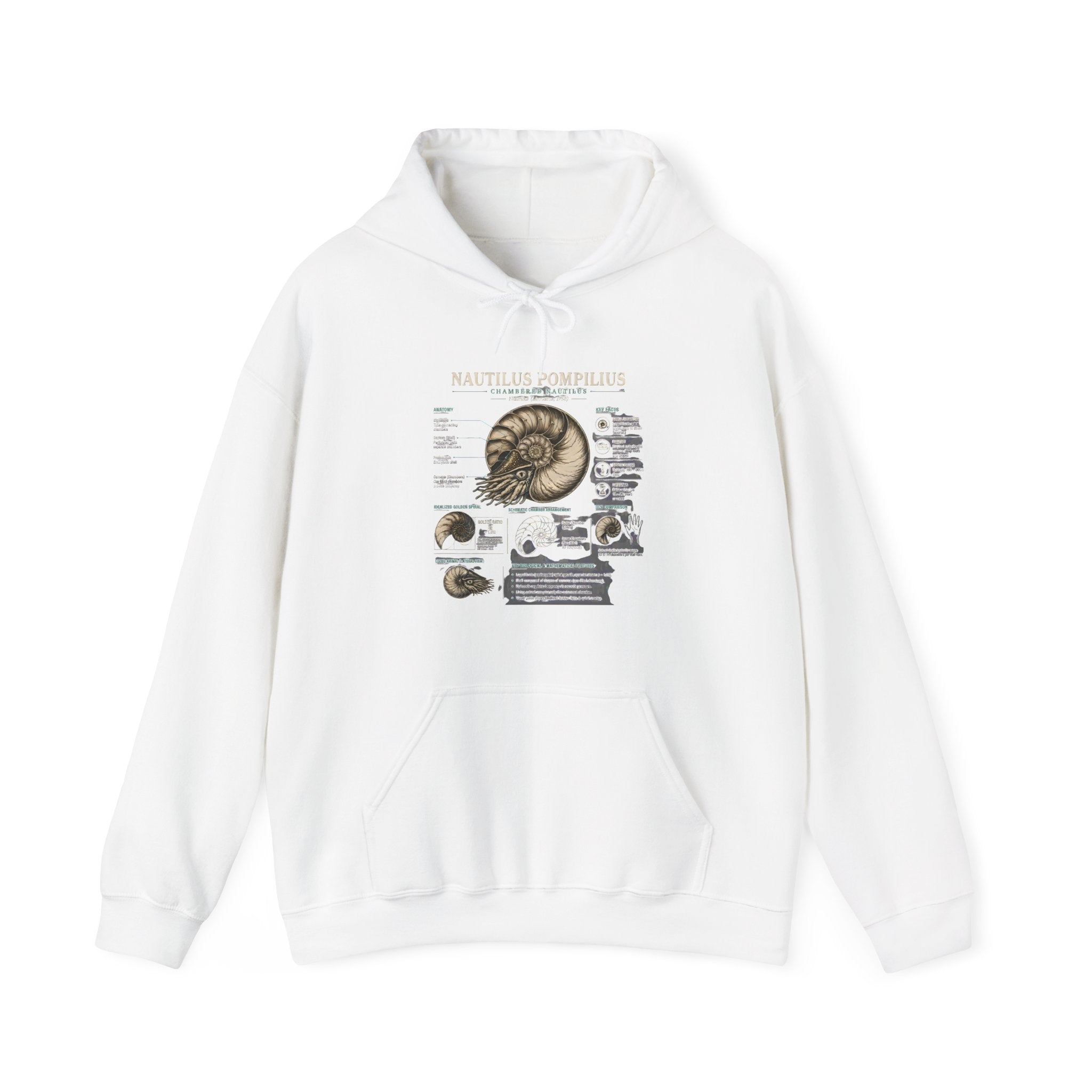 Ammonite Fossil Hoodie – Vintage Natural History Nautilus Diagram Sweatshirt Secondary image