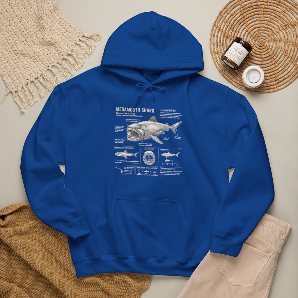 Shark Anatomy Hoodie — Vintage Megalodon Illustration Pullover