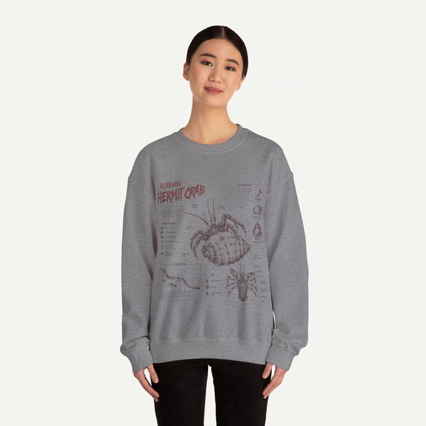 Hermit Crab Anatomy Sweatshirt — Acadian Hermit Crab Illustration
