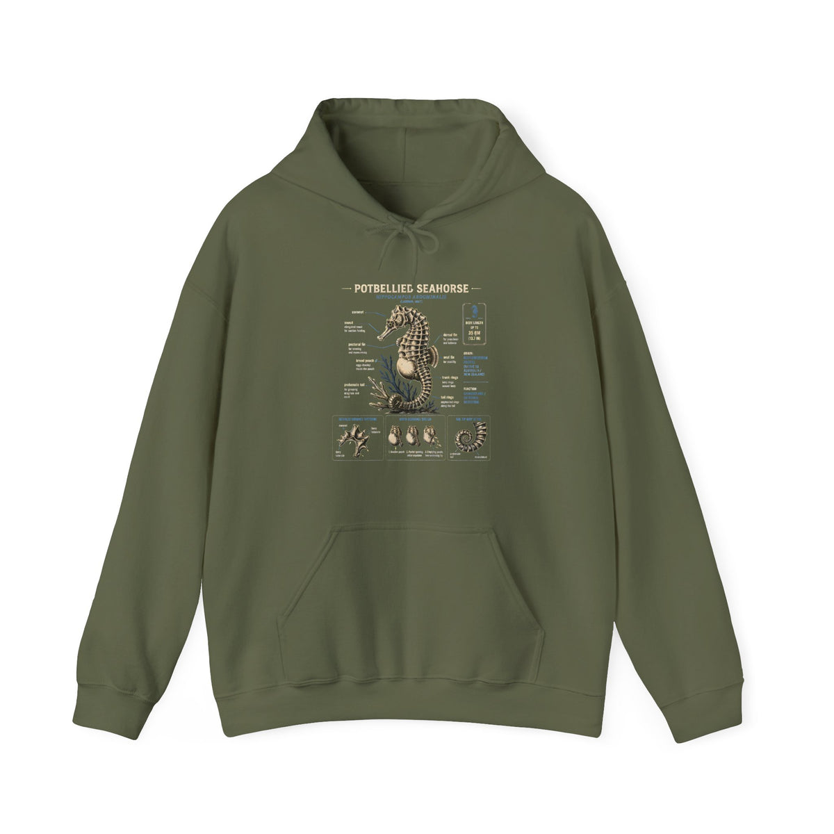 Pocketwatch Seahorse Anatomy Hoodie — Vintage Nautical Illustration Sweatshirt