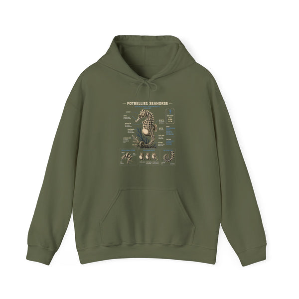 Pocketwatch Seahorse Anatomy Hoodie — Vintage Nautical Illustration Sweatshirt