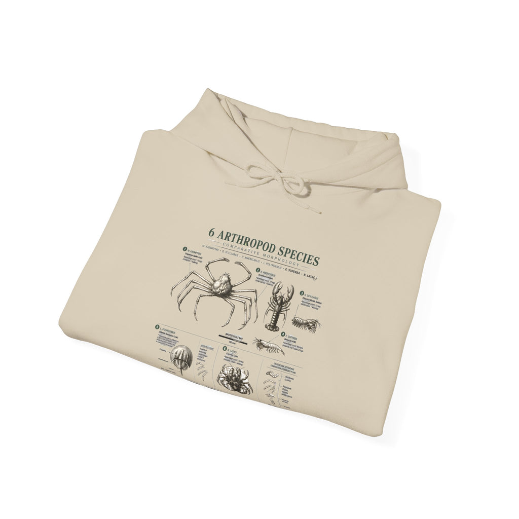 Arthropod Species Hoodie – Vintage Scientific Diagram Sweatshirt