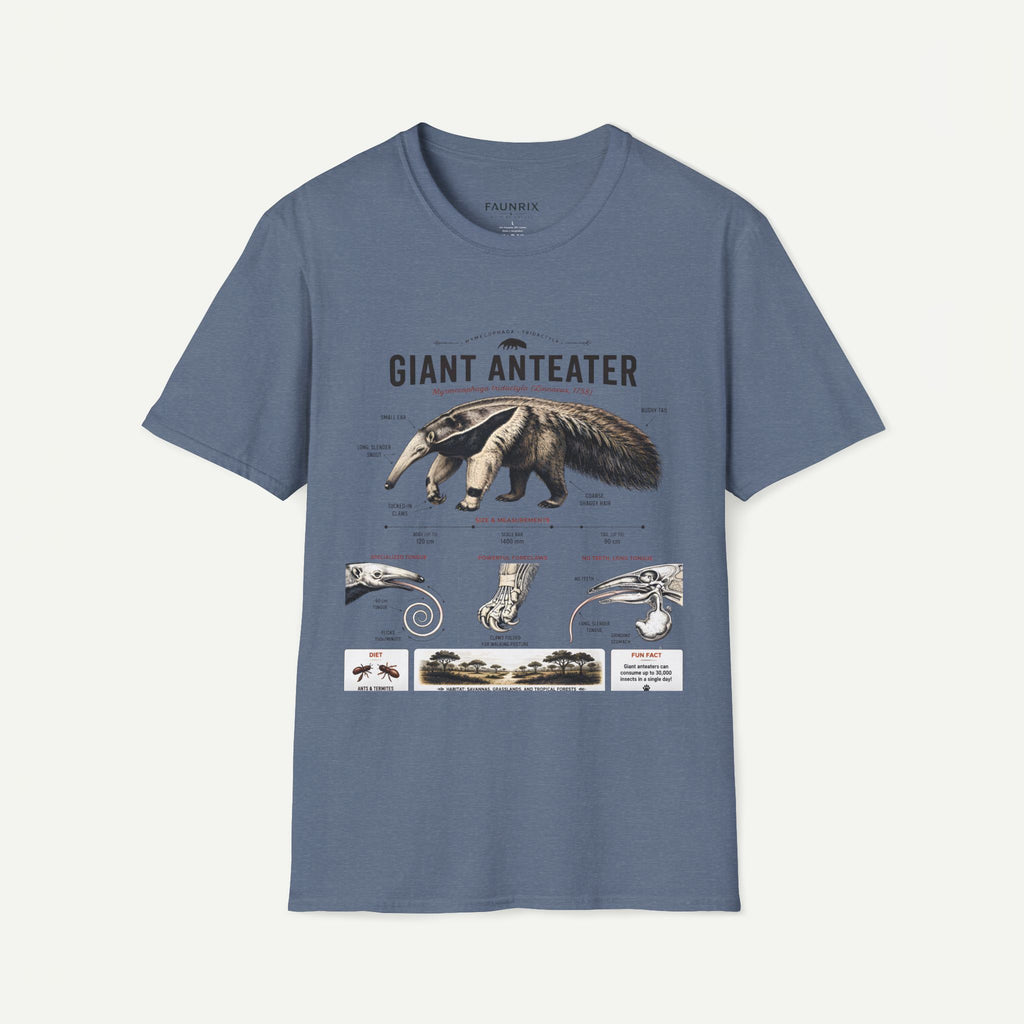 Giant Anteater Anatomy Tee — Vintage Natural History Animal Graphic T-Shirt