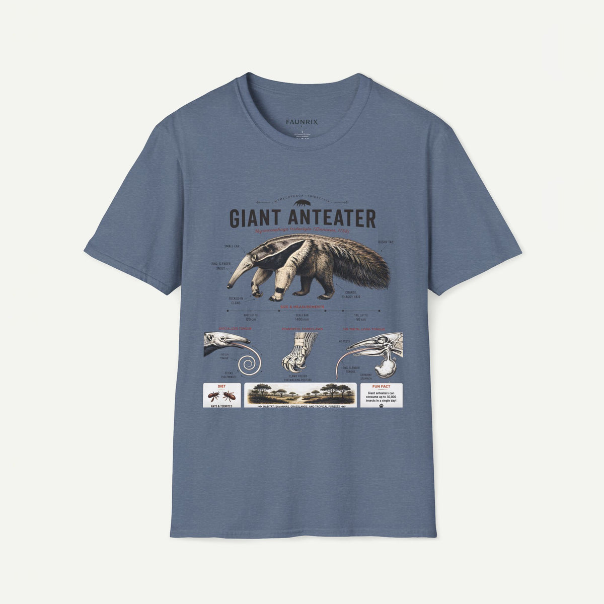 Giant Anteater Anatomy Tee — Vintage Natural History Animal Graphic T-Shirt
