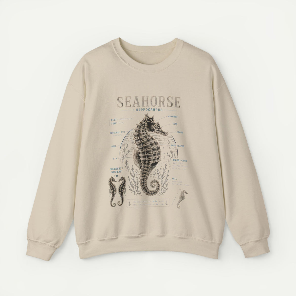 Seahorse Anatomy Crewneck Sweatshirt