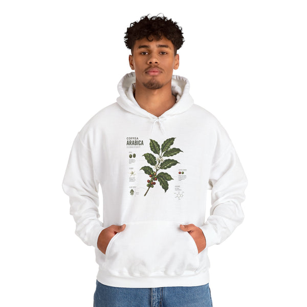 Coffee Plant Hoodie — Coffea Arabica Botanical Illustration Sweatshirt