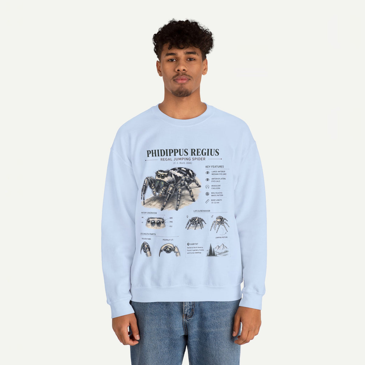 Spider Anatomy Crewneck Sweatshirt — Phidippus Regius Jumping Spider Illustration