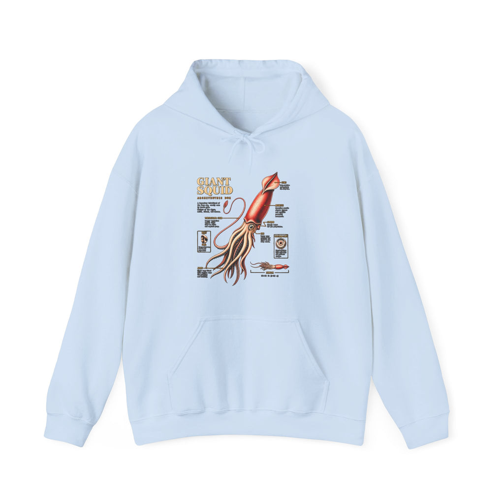 Squid Anatomy Hoodie — Vintage Scientific Illustration Pullover