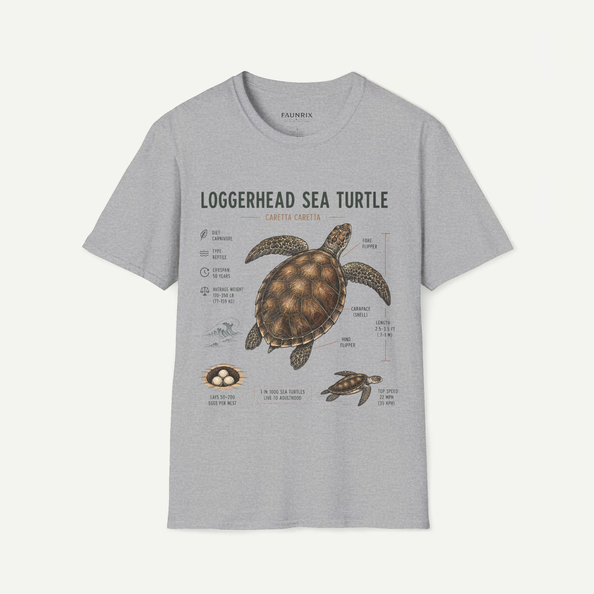 Sea Turtle Anatomy  T-Shirt — "Loggerhead Sea Turtle" Vintage Nature Graphic Tee