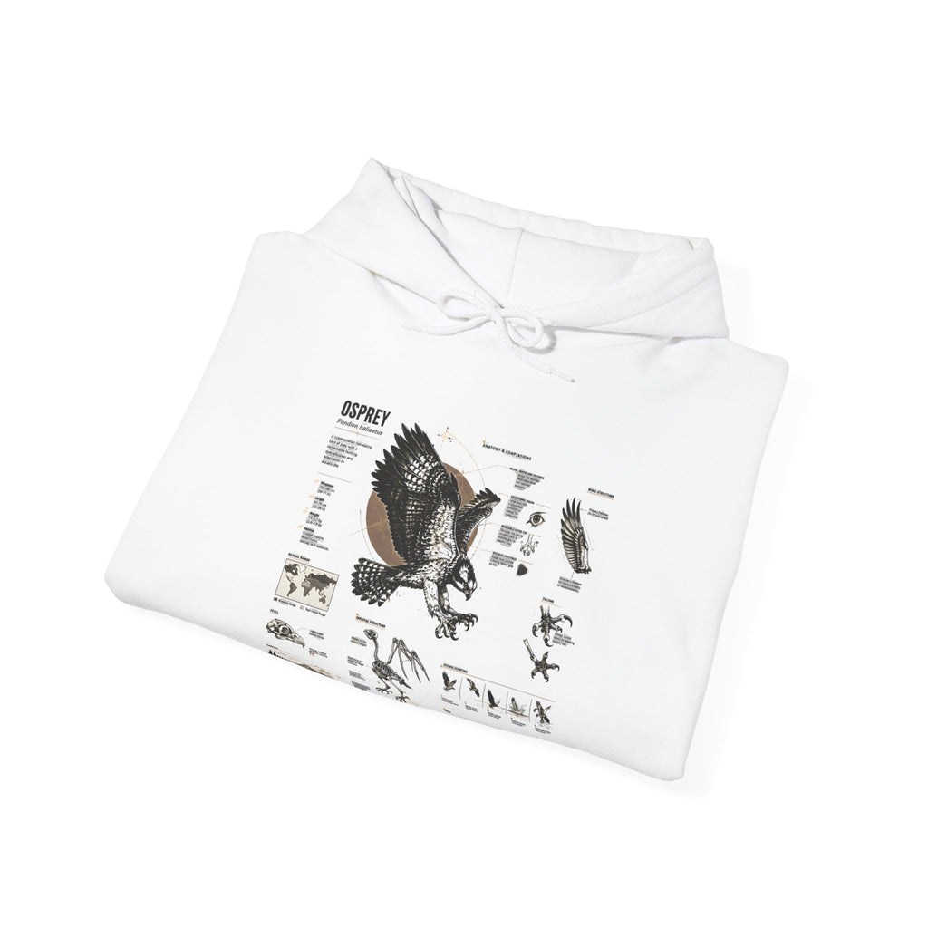 Eagle Anatomy Hoodie — Vintage Ornithology Graphic Sweatshirt