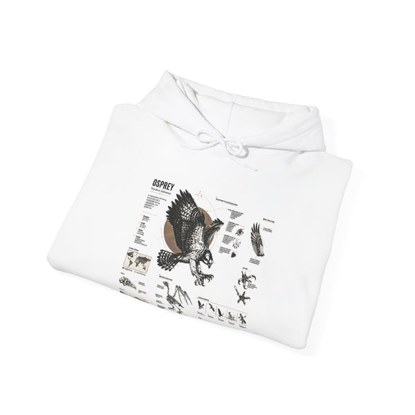 Eagle Anatomy Hoodie — Vintage Ornithology Graphic Sweatshirt