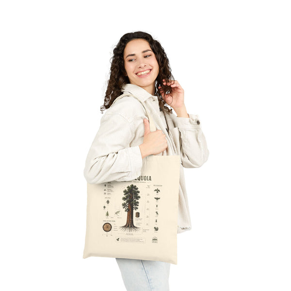 Giant Sequoia Canvas Tote Bag – Botanical Tree Illustration Eco Grocery Bag