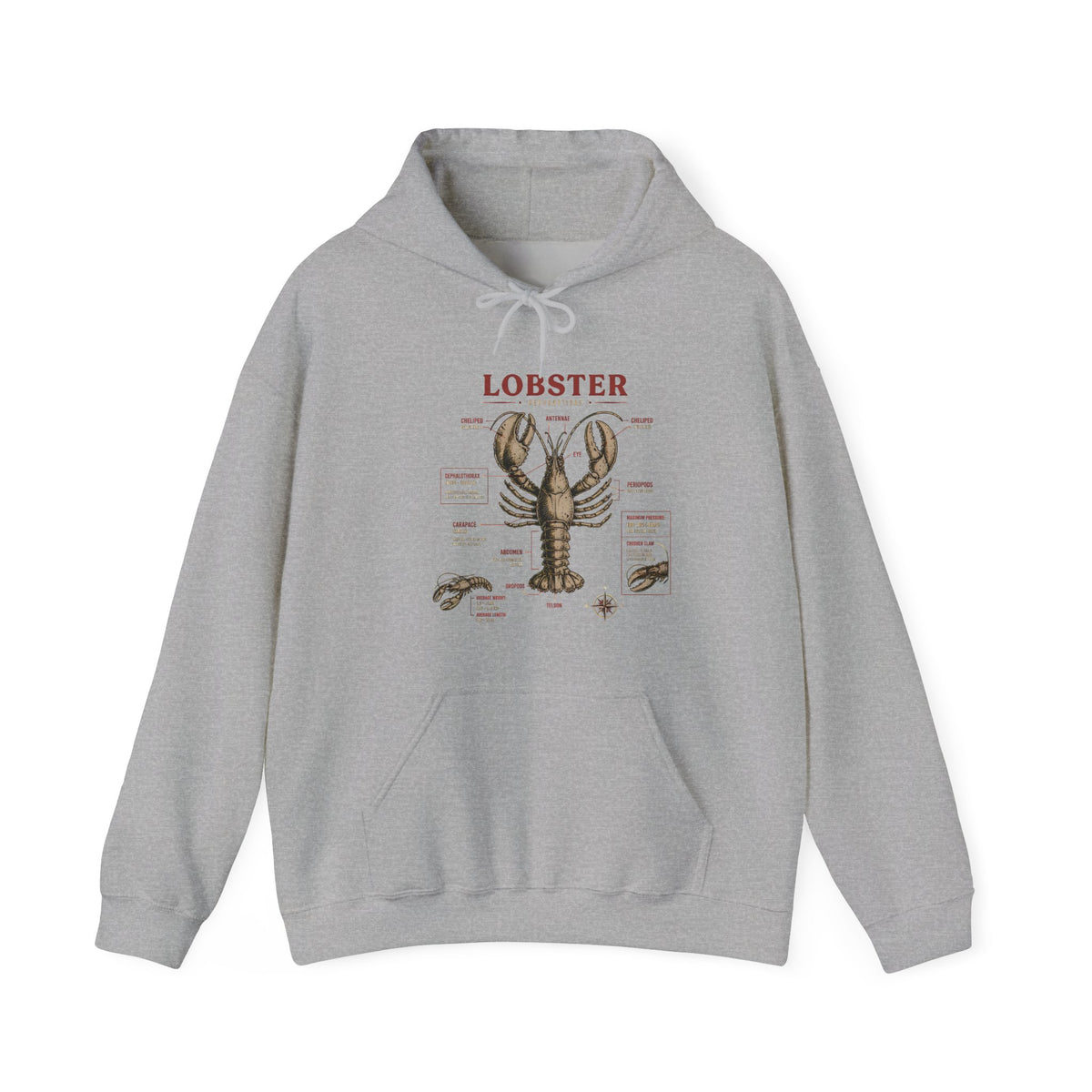 Lobster Anatomy Hoodie – Nautical Seafood Illustration Pullover