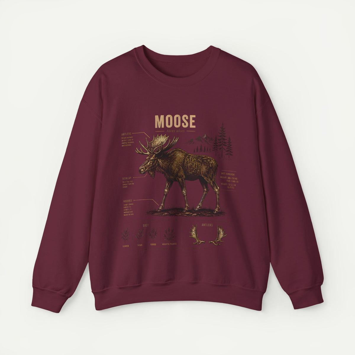 Moose Anatomy  Sweatshirt