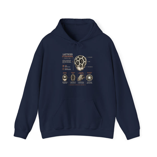 Hoodie — Mushroom Anatomy Chart Graphic Hoodie