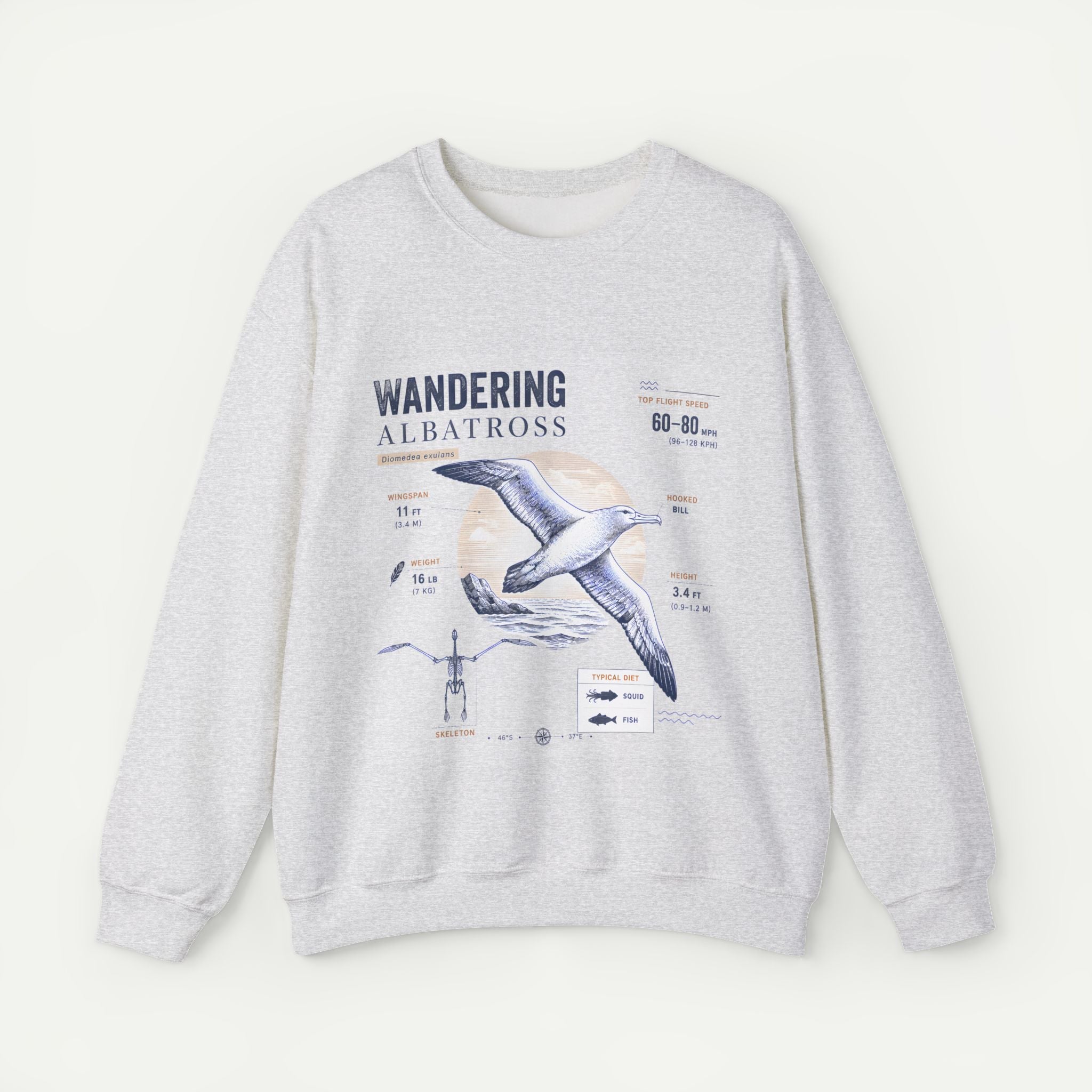 Wandering Albatross Anatomy Sweatshirt — Vintage Seabird Illustration Secondary image