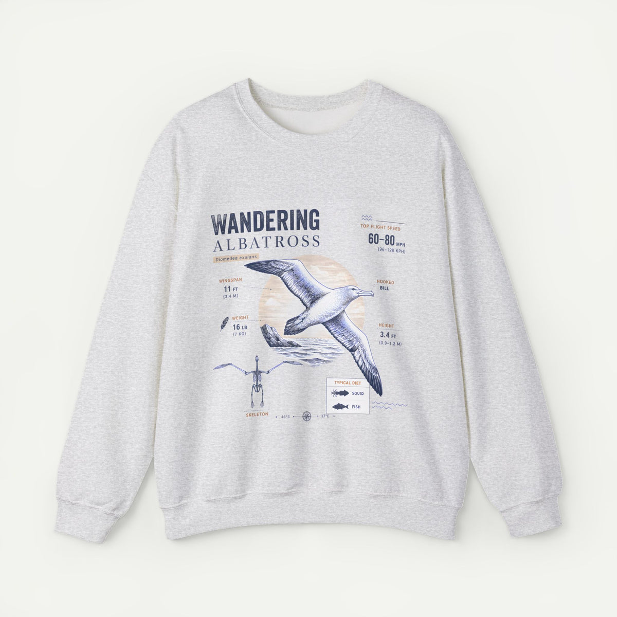 Wandering Albatross Anatomy Sweatshirt — Vintage Seabird Illustration