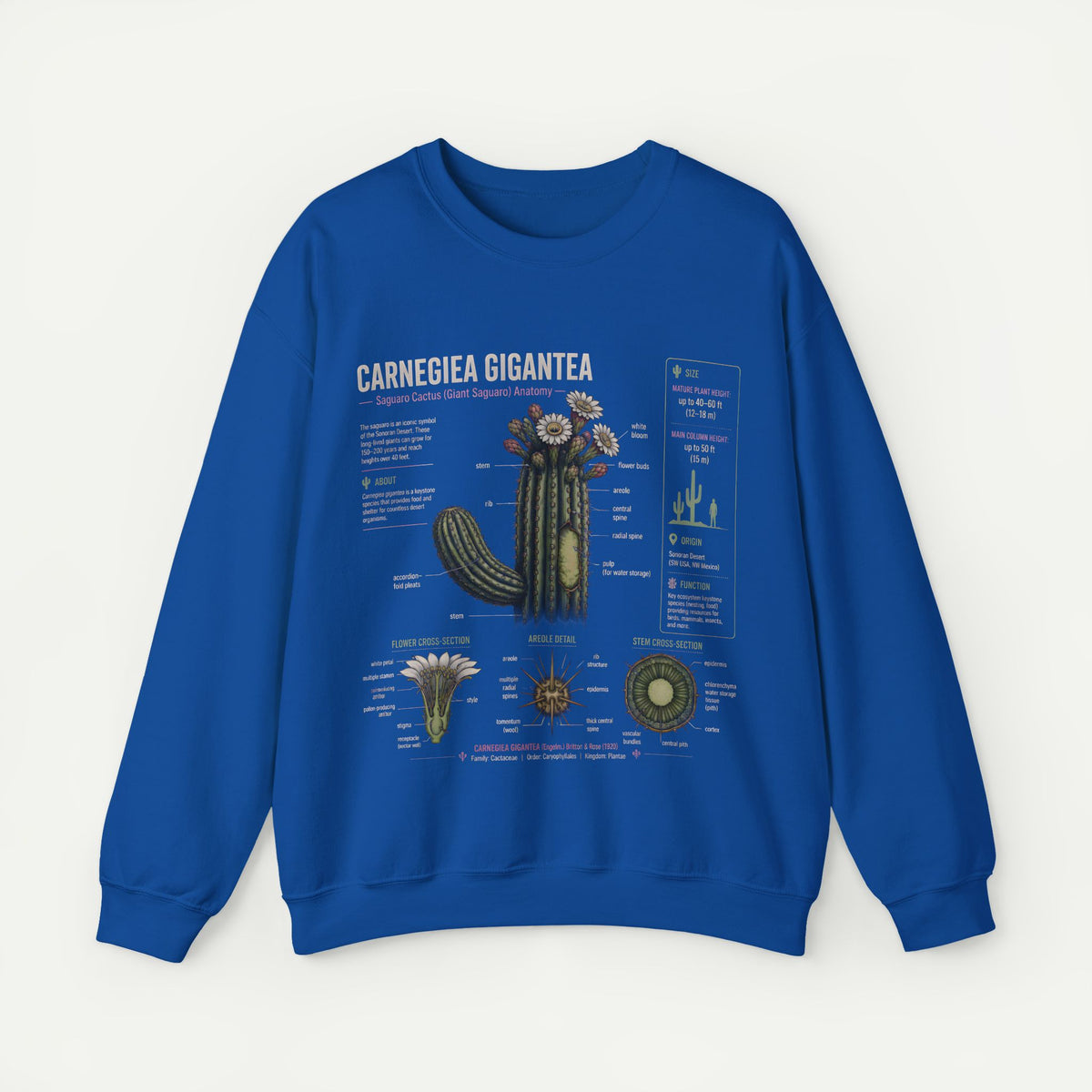 Carnegiea Gigantea Cactus Sweatshirt — Botanical Diagram Crewneck