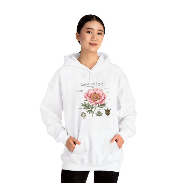 Peony Botanical Hoodie — "Common Peony" Vintage Floral Diagram Sweatshirt
