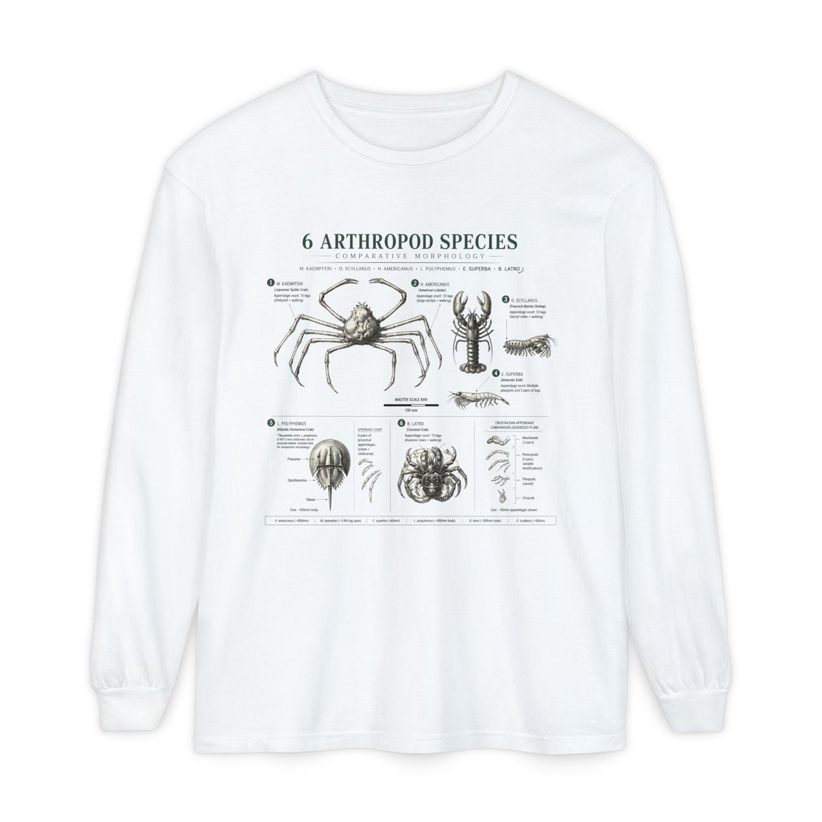 Arthropod Species Chart Long Sleeve Tee — Vintage Scientific Insect Diagram Shirt