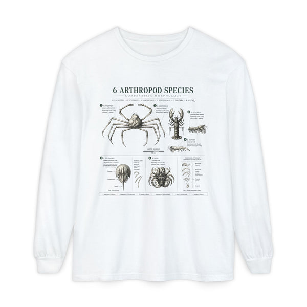 Arthropod Species Chart Long Sleeve Tee — Vintage Scientific Insect Diagram Shirt