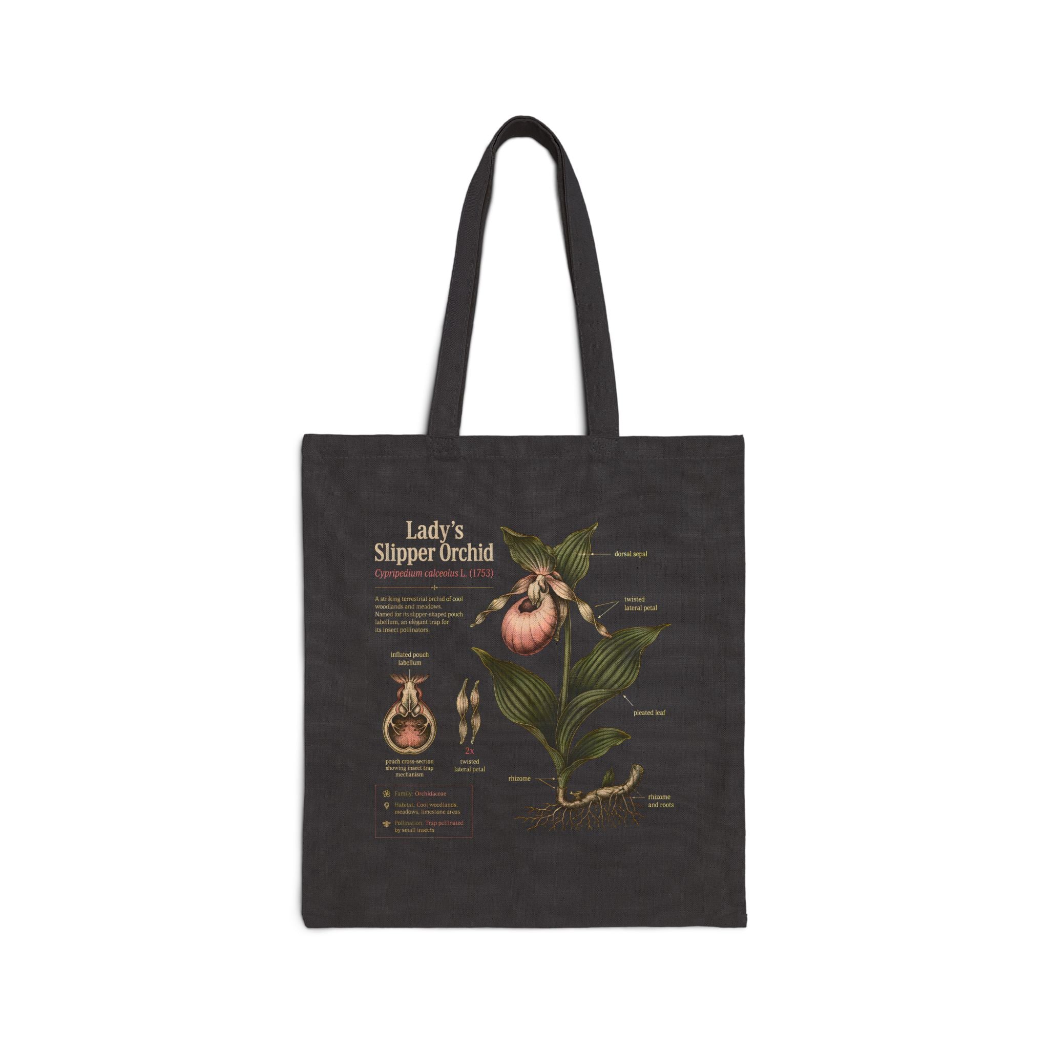 Lady's Slipper Orchid Anatomy Canvas Tote Bag — Vintage Botanical Grocery Shopper Secondary image