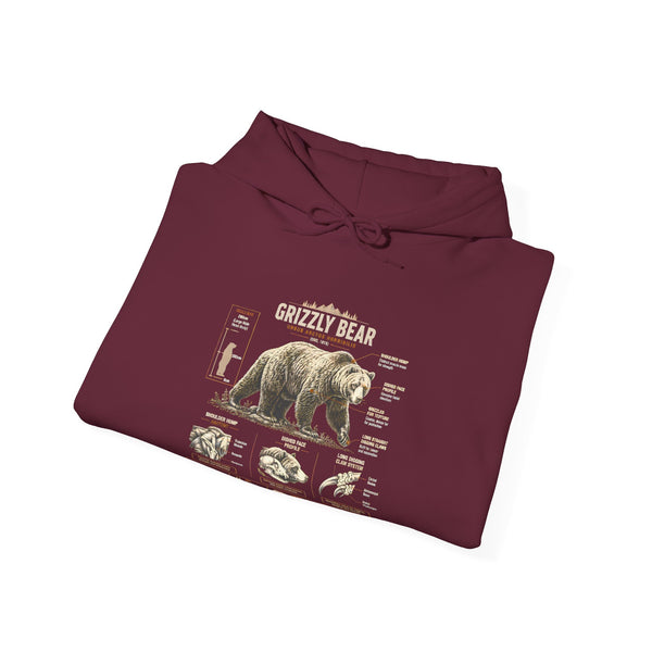 Hoodie — Vintage Bear Anatomy Graphic Hoodie