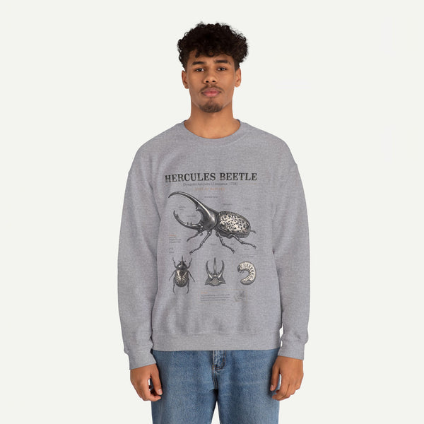 Hercules Beetle Anatomy  Crewneck Sweatshirt – Vintage Entomology Graphic
