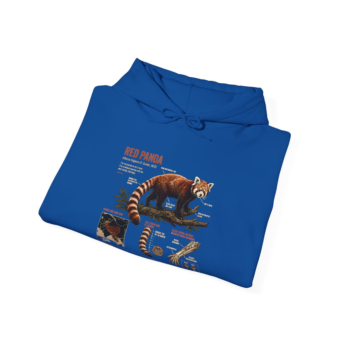 Red Panda Anatomy Hoodie — Vintage Wildlife Guide Sweatshirt