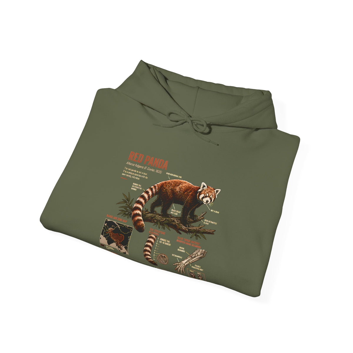 Red Panda Anatomy Hoodie — Vintage Wildlife Guide Sweatshirt