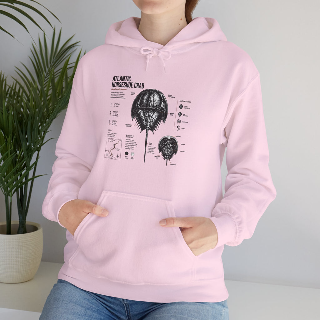 Horseshoe Crab Anatomy Hoodies