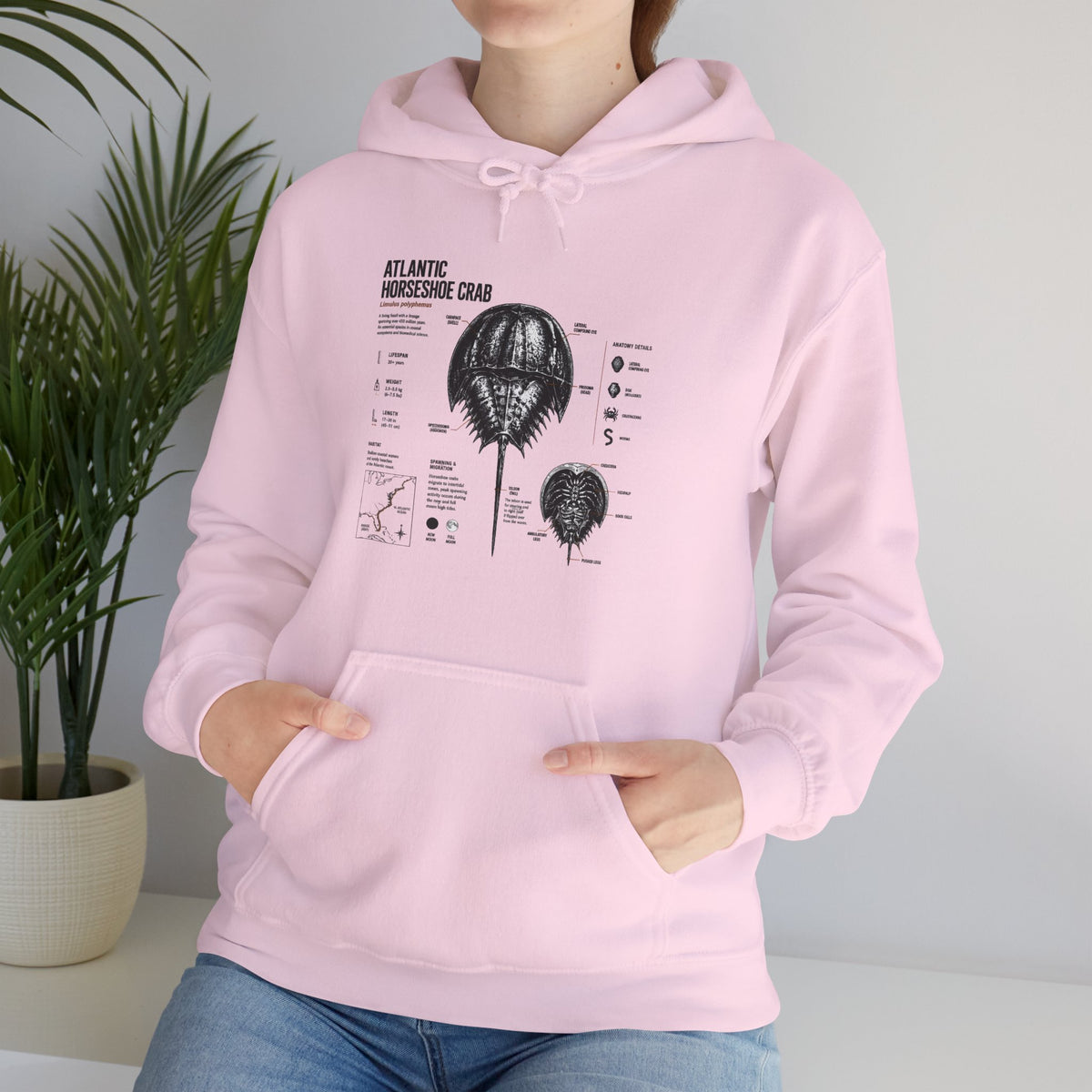 Horseshoe Crab Anatomy Hoodies