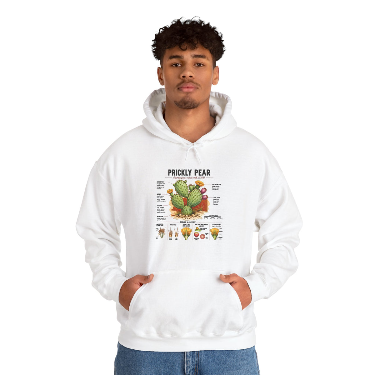 Prickly Pear Botanical Hoodie – Cactus Anatomy Illustrated Sweatshirt