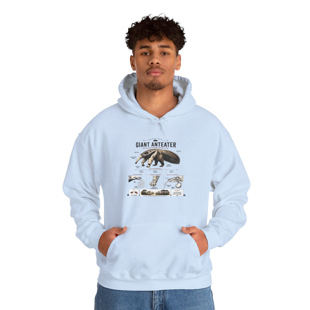 Giant Anteater Anatomy Hoodie — Illustrated Wildlife Diagram Sweatshirt