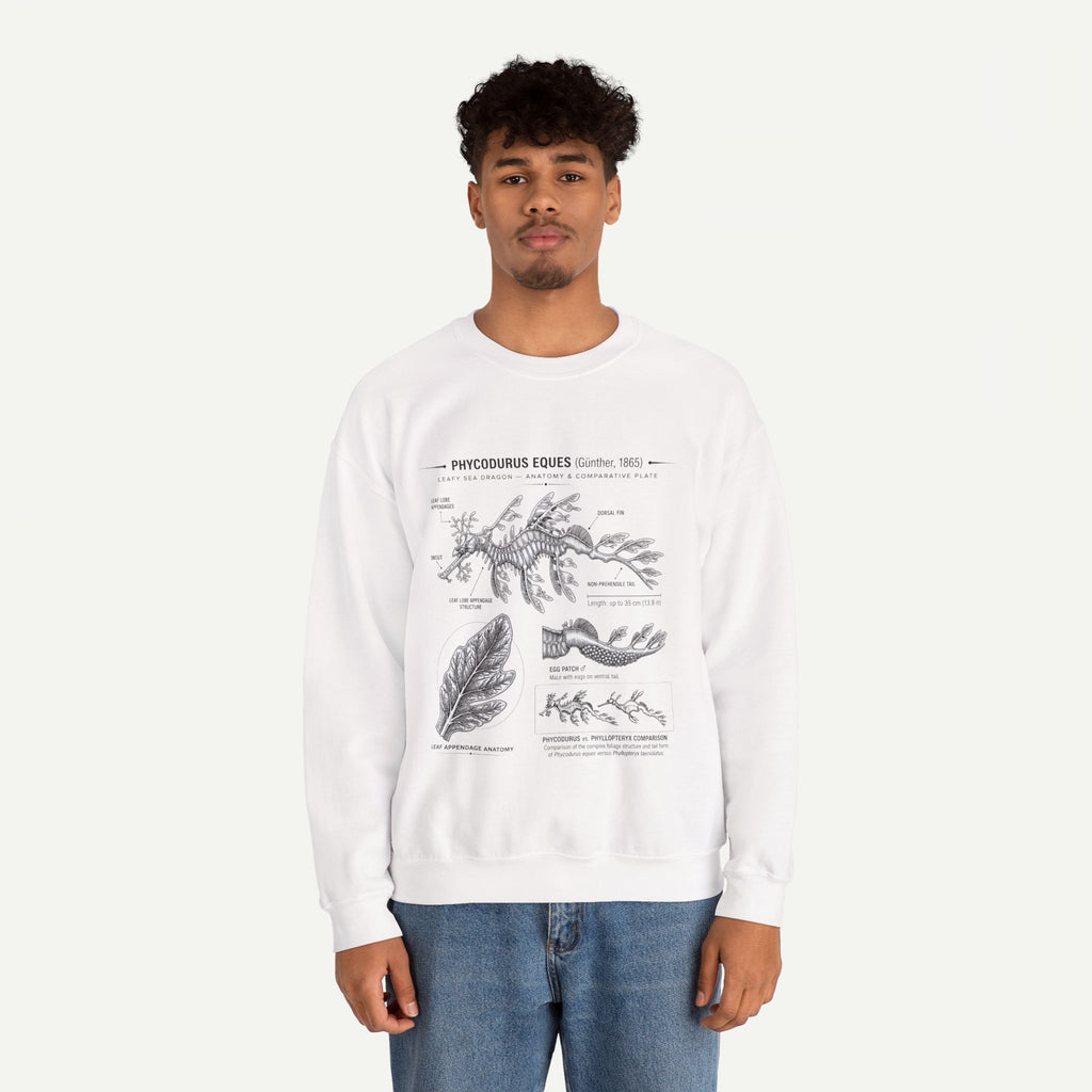 Botanical Anatomy Sweatshirt — Vintage Phycodurus Eques Seaweed Illustration