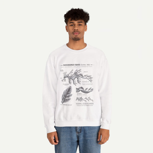 Botanical Anatomy Sweatshirt — Vintage Phycodurus Eques Seaweed Illustration