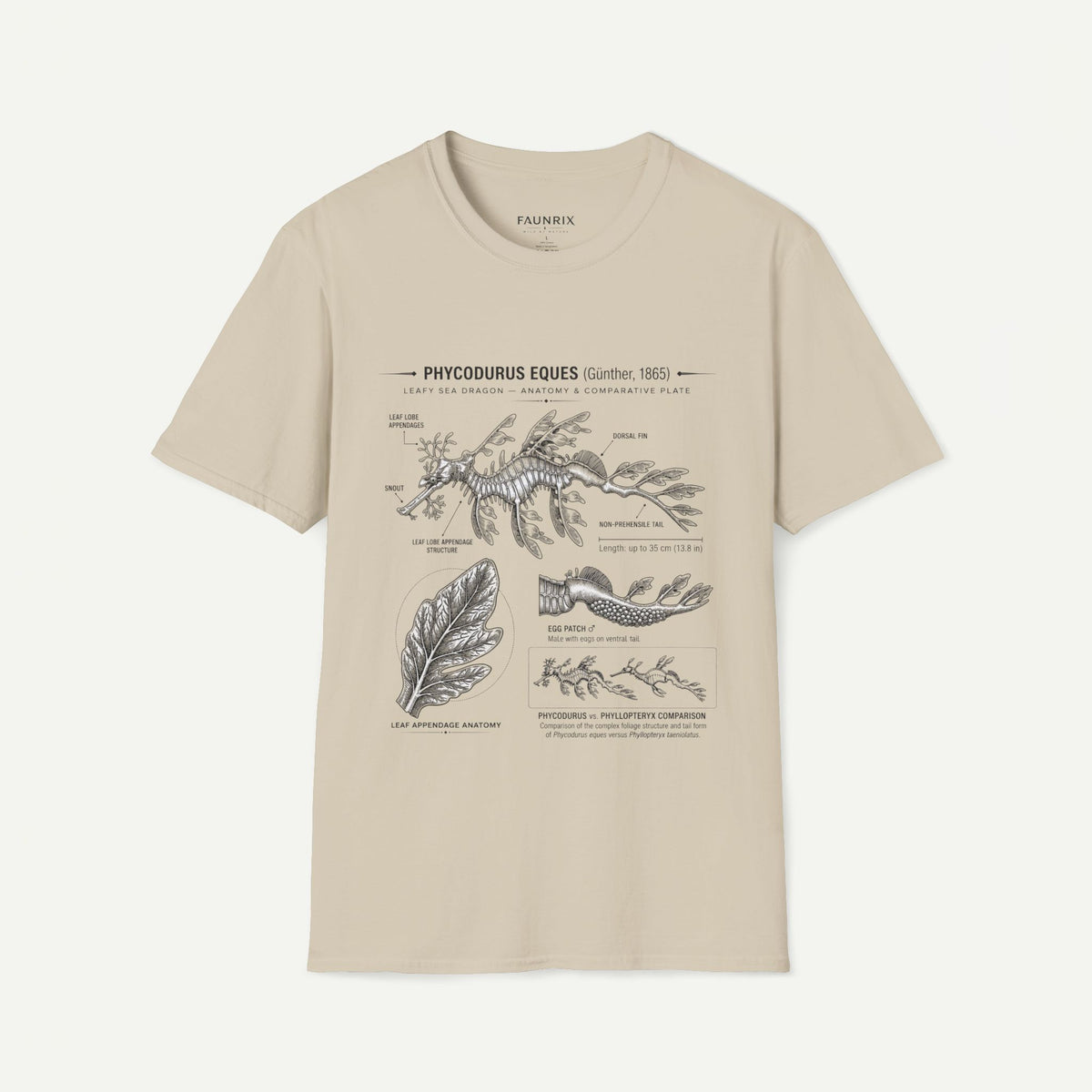 Sea Dragon Anatomy T-Shirt — Phycodurus Eques Botanical Illustration Tee