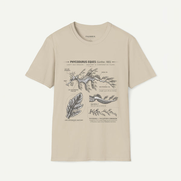 Sea Dragon Anatomy T-Shirt — Phycodurus Eques Botanical Illustration Tee