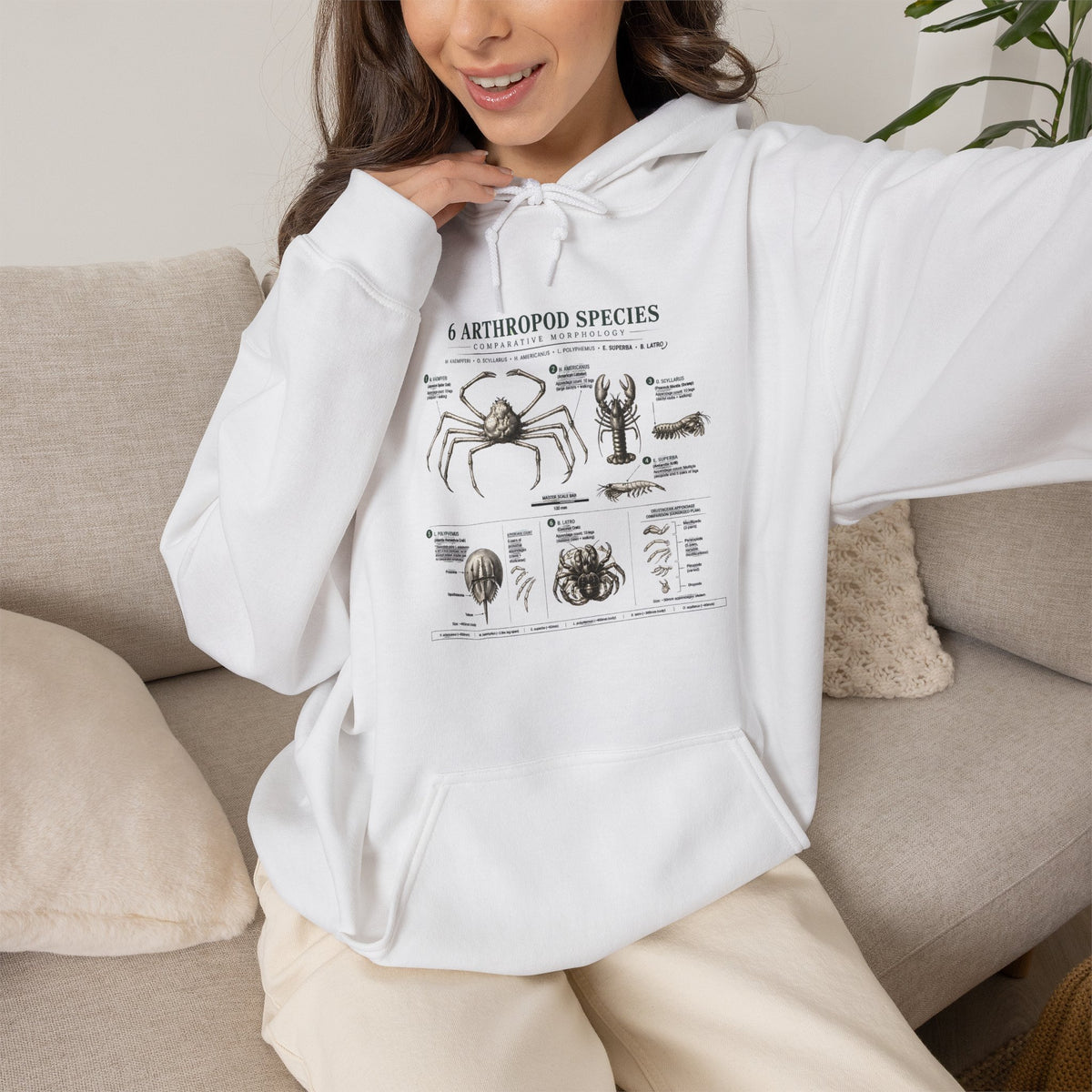 Arthropod Species Hoodie – Vintage Scientific Diagram Sweatshirt