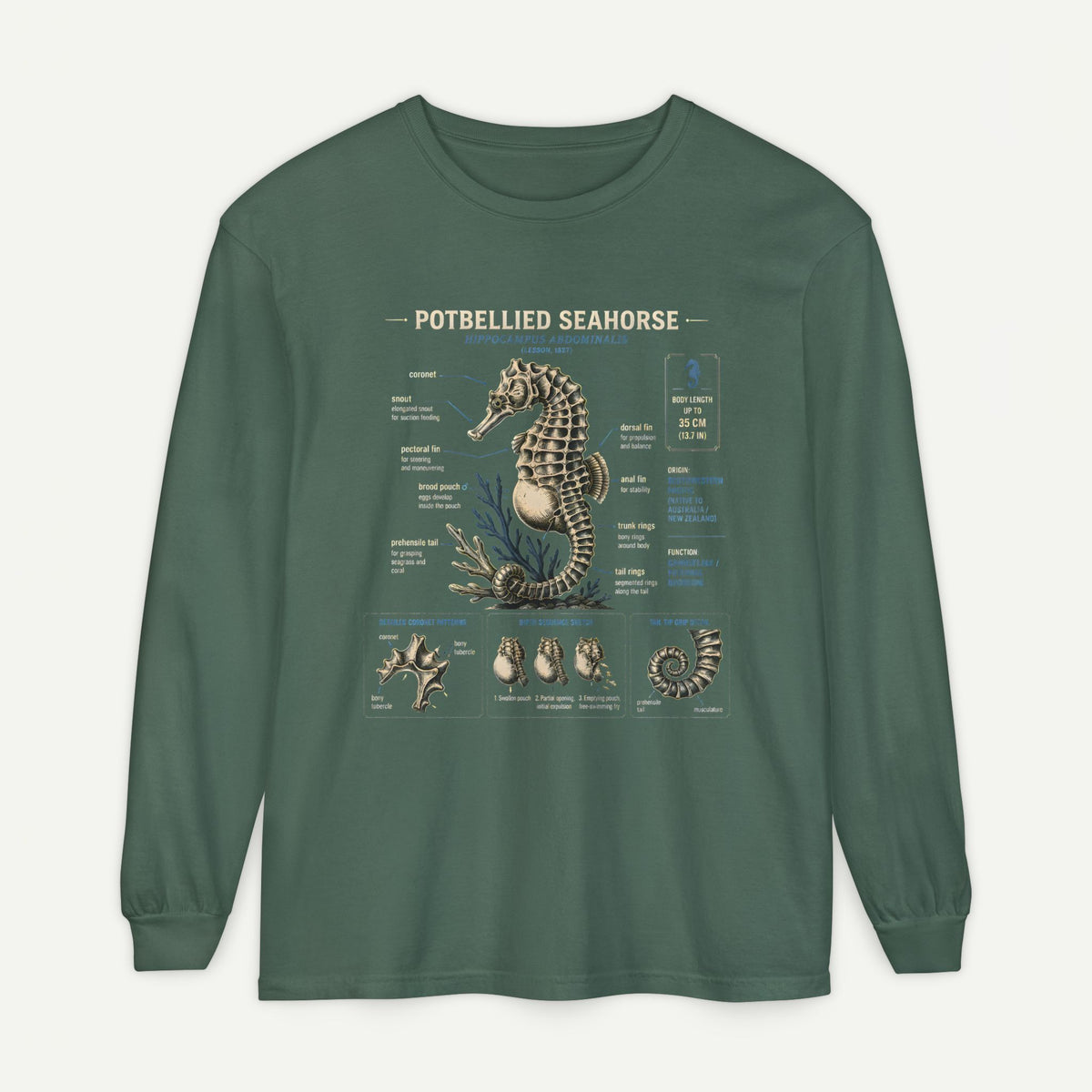 Seahorse Anatomy Long Sleeve Tee