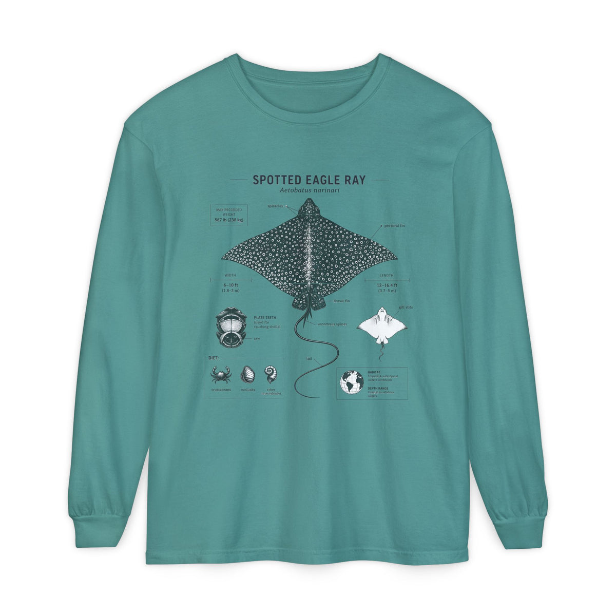 Spotted Eagle Ray Anatomy Long Sleeve Tee