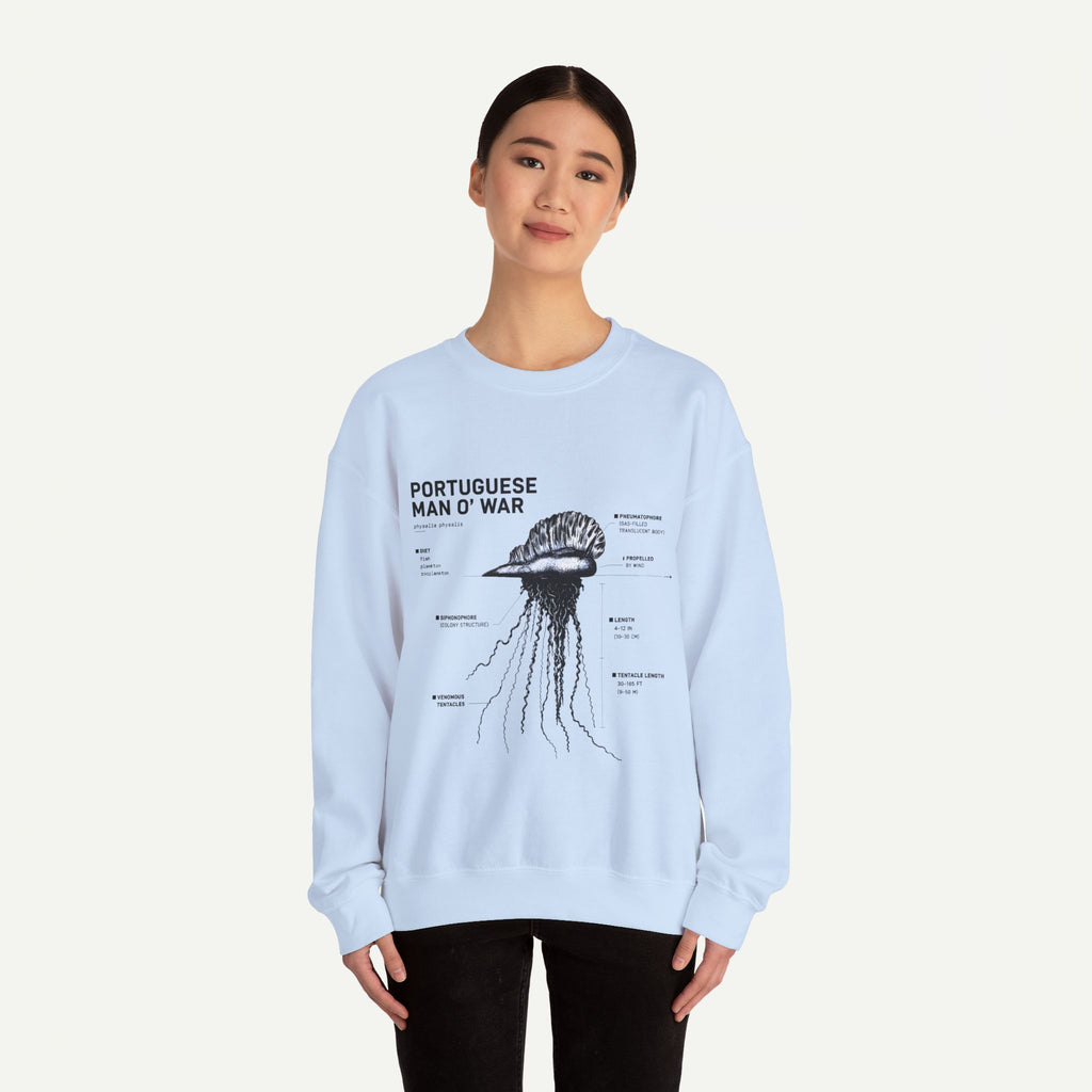 Portuguese Man O' War Anatomy Sweatshirt