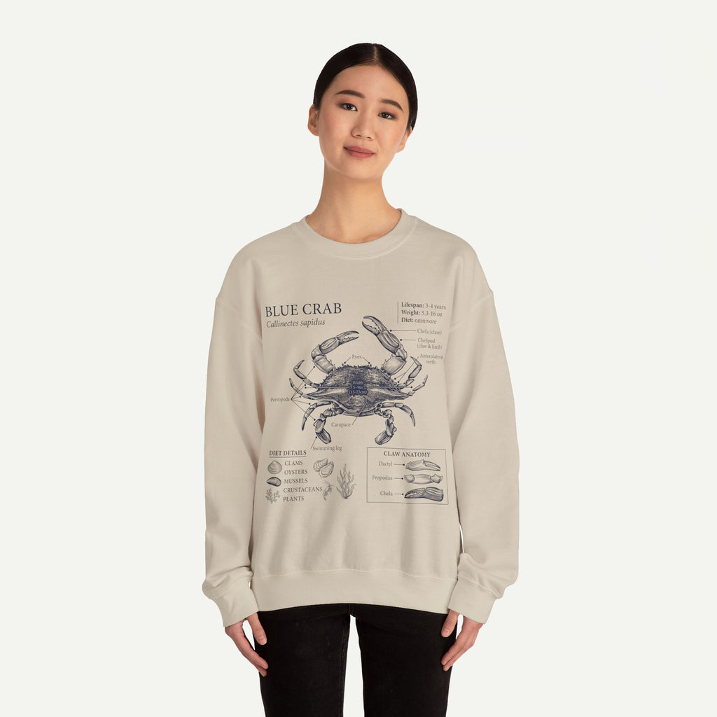 Blue Crab Anatomy Crewneck Sweatshirt – Marine Biology Graphic Pullover
