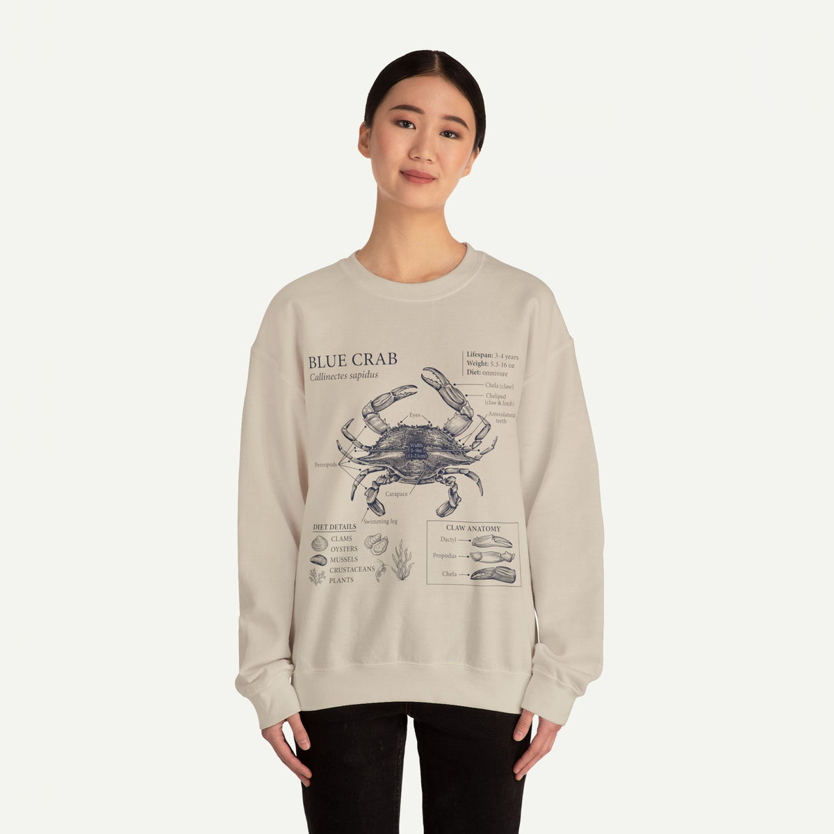 Blue Crab Anatomy Crewneck Sweatshirt – Marine Biology Graphic Pullover
