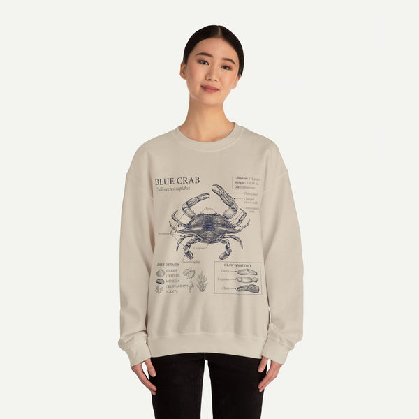 Blue Crab Anatomy Crewneck Sweatshirt – Marine Biology Graphic Pullover
