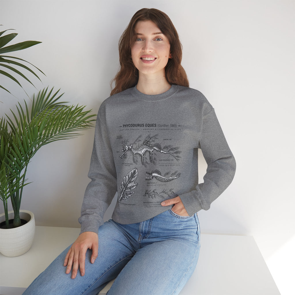 Botanical Anatomy Sweatshirt — Vintage Phycodurus Eques Seaweed Illustration