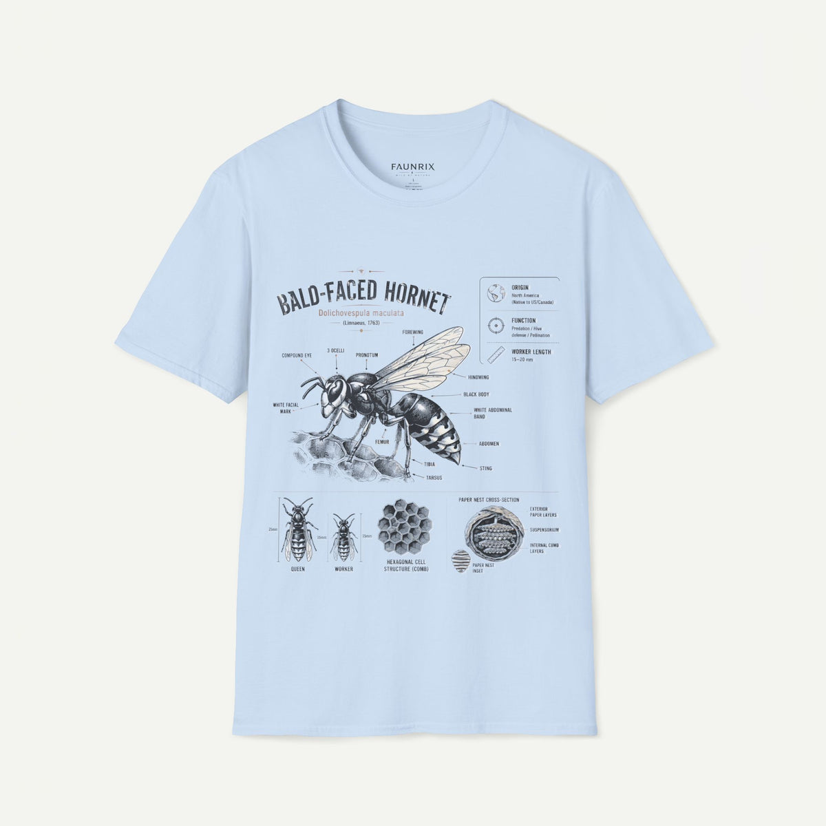 Bald-Faced Hornet Anatomy T-Shirt - Vintage Entomology Illustration