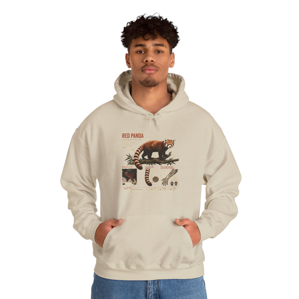 Red Panda Anatomy Hoodie — Vintage Wildlife Guide Sweatshirt