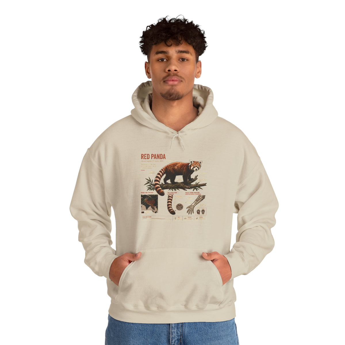 Red Panda Anatomy Hoodie — Vintage Wildlife Guide Sweatshirt