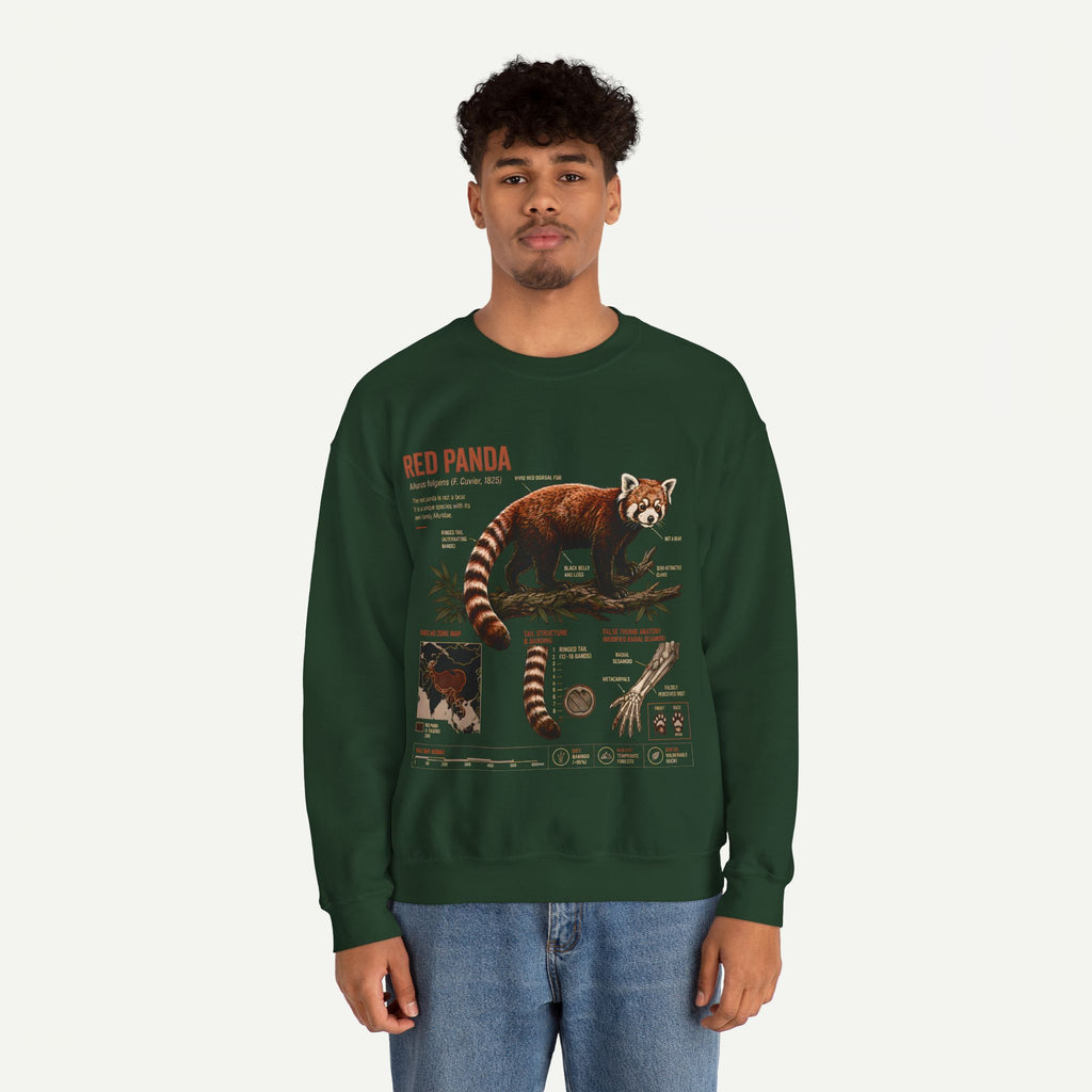 Red Panda Anatomy Sweatshirt — Vintage Wildlife Crewneck